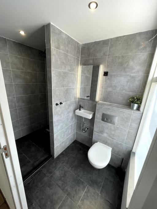 Comfortable Apartment